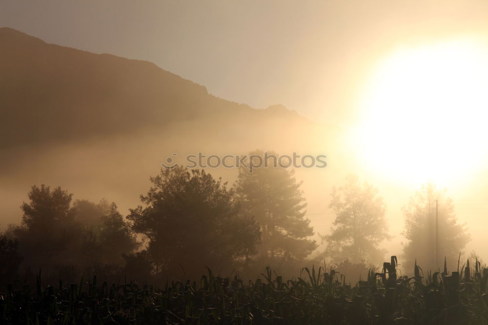 Foto Bild Sonnenaufgang im Allgäu