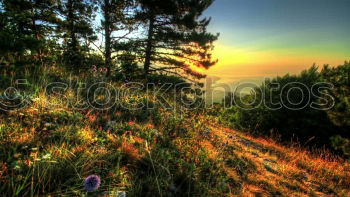 Similar – Image, Stock Photo Sunset in Morocco