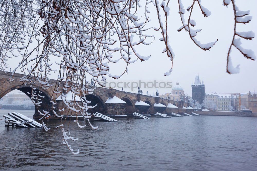 Similar – Icy times at the Oberbaum Bridge