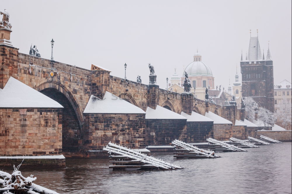 Similar – Image, Stock Photo Winter walk. Work of art