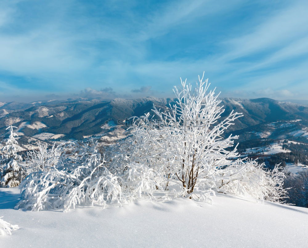 Similar – sloping winter forest