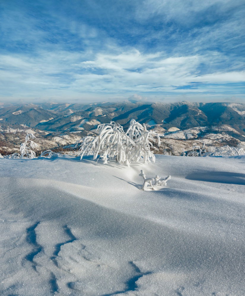 Similar – hut magic Mountain Forest