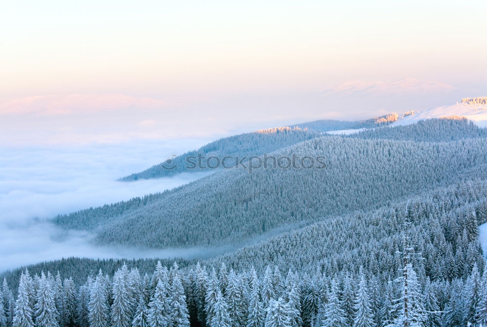 Similar – Image, Stock Photo winter hike in the northern Black Forest on a sunny day