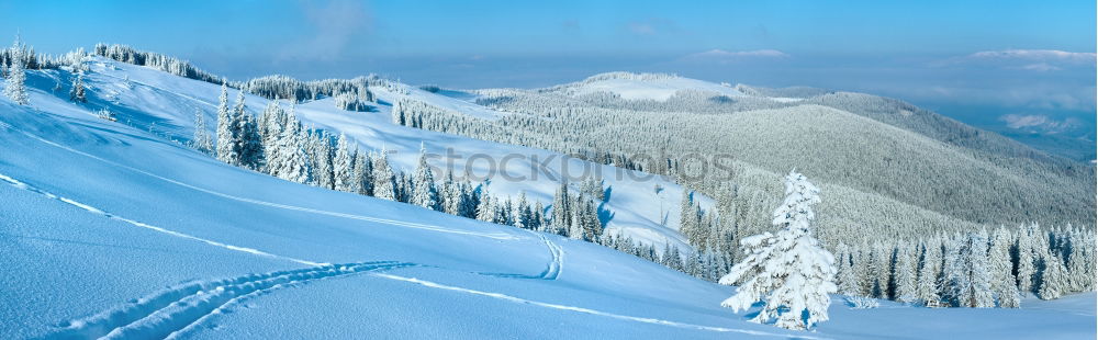 Similar – Image, Stock Photo A winter fairy tale Winter