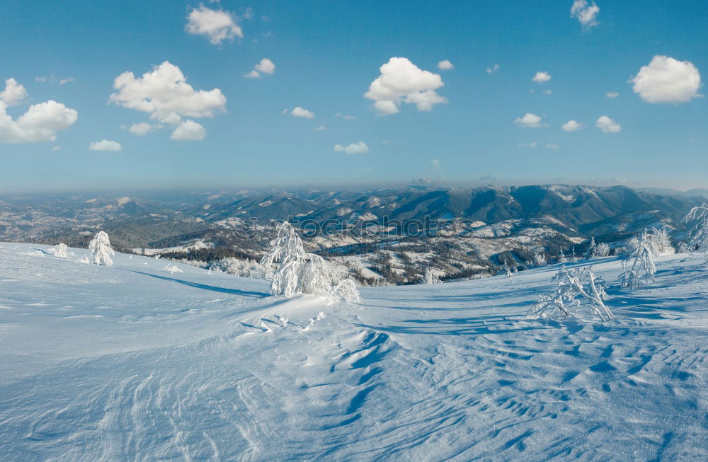 Similar – hut magic Mountain Forest