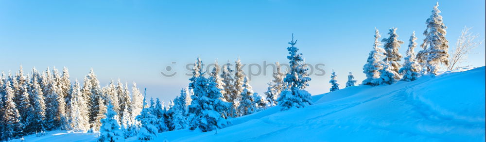 Similar – Image, Stock Photo winter sun Skiing