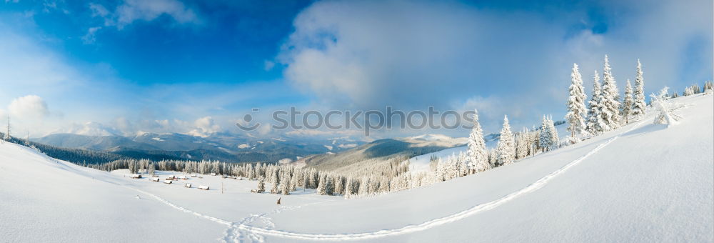 Similar – Image, Stock Photo winter hike in the northern Black Forest on a sunny day