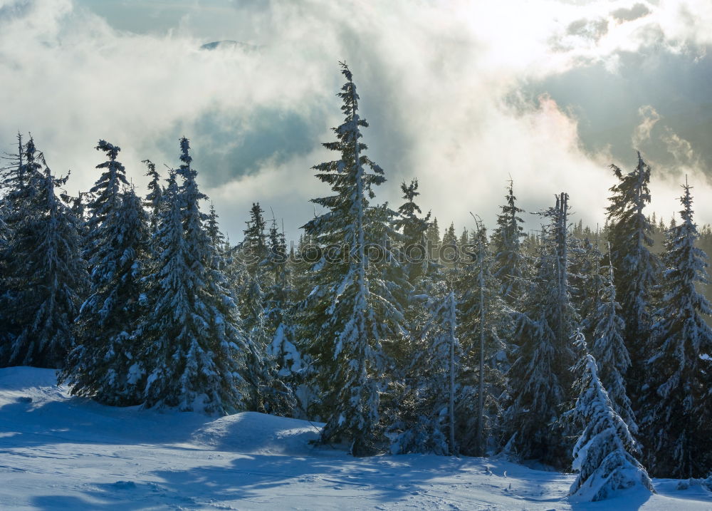 Similar – Image, Stock Photo winter hike in the northern Black Forest on a sunny day