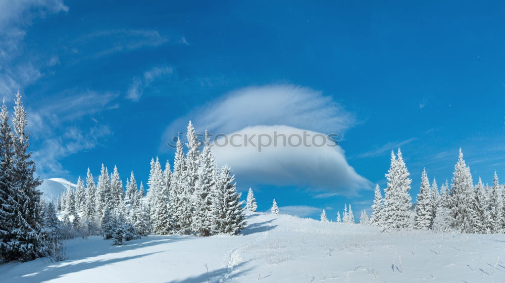 Similar – Image, Stock Photo Lake Silser Snow Forest