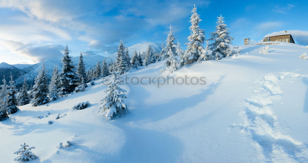 Similar – winter landscape Forest