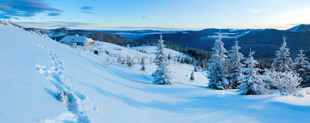 Similar – winter landscape Forest