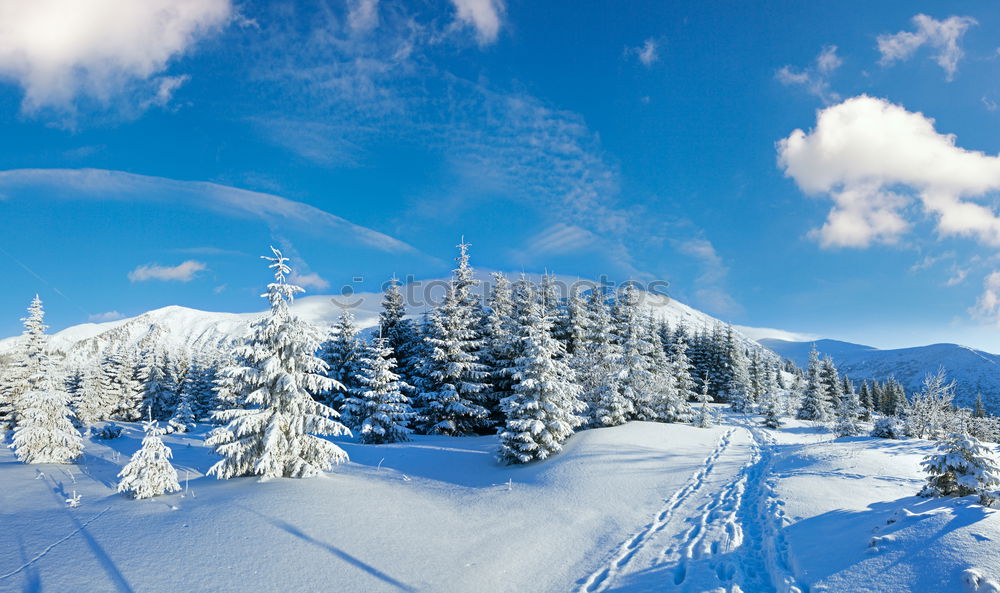 Similar – winter landscape Forest