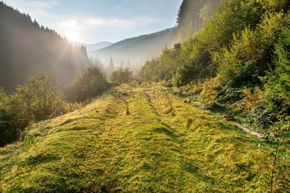 Similar – Autumn in the Pyrenees