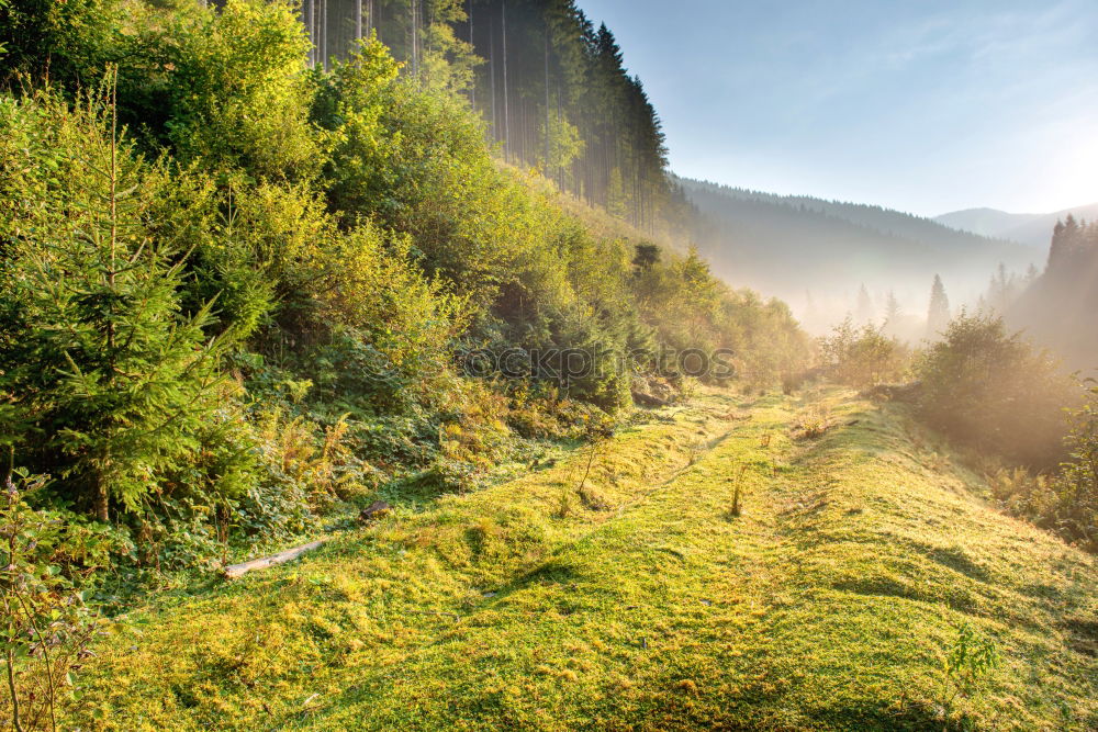 Similar – Autumn in the Pyrenees