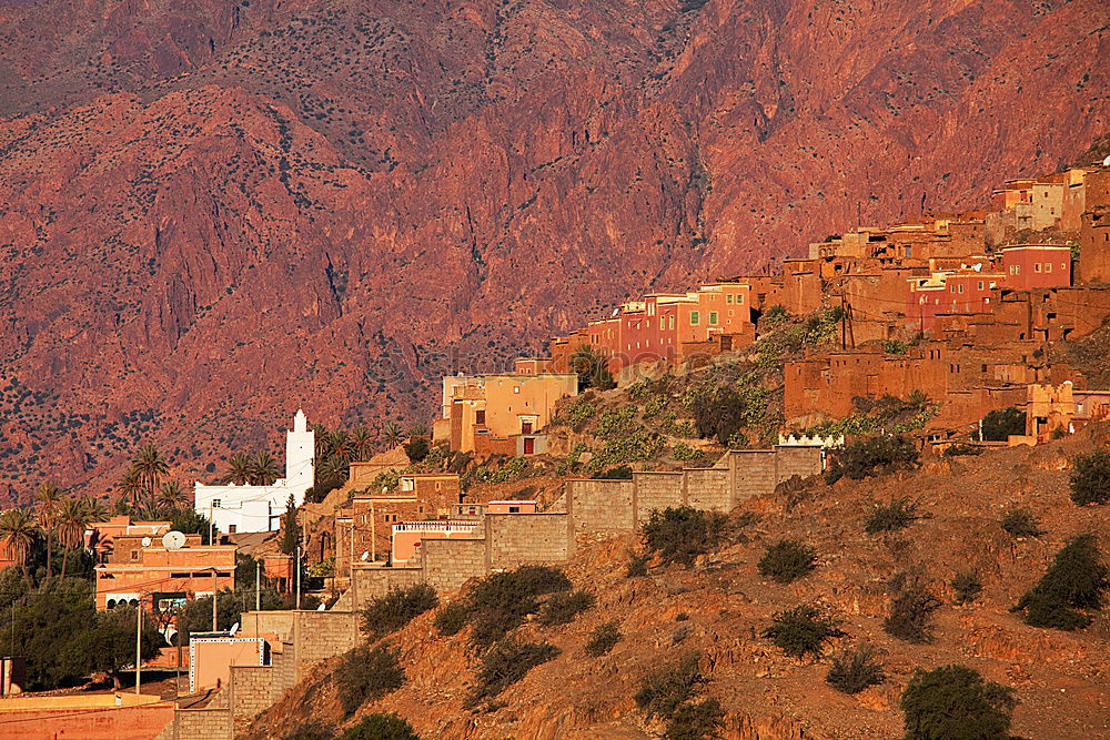 Similar – Image, Stock Photo Oasis Morocco I