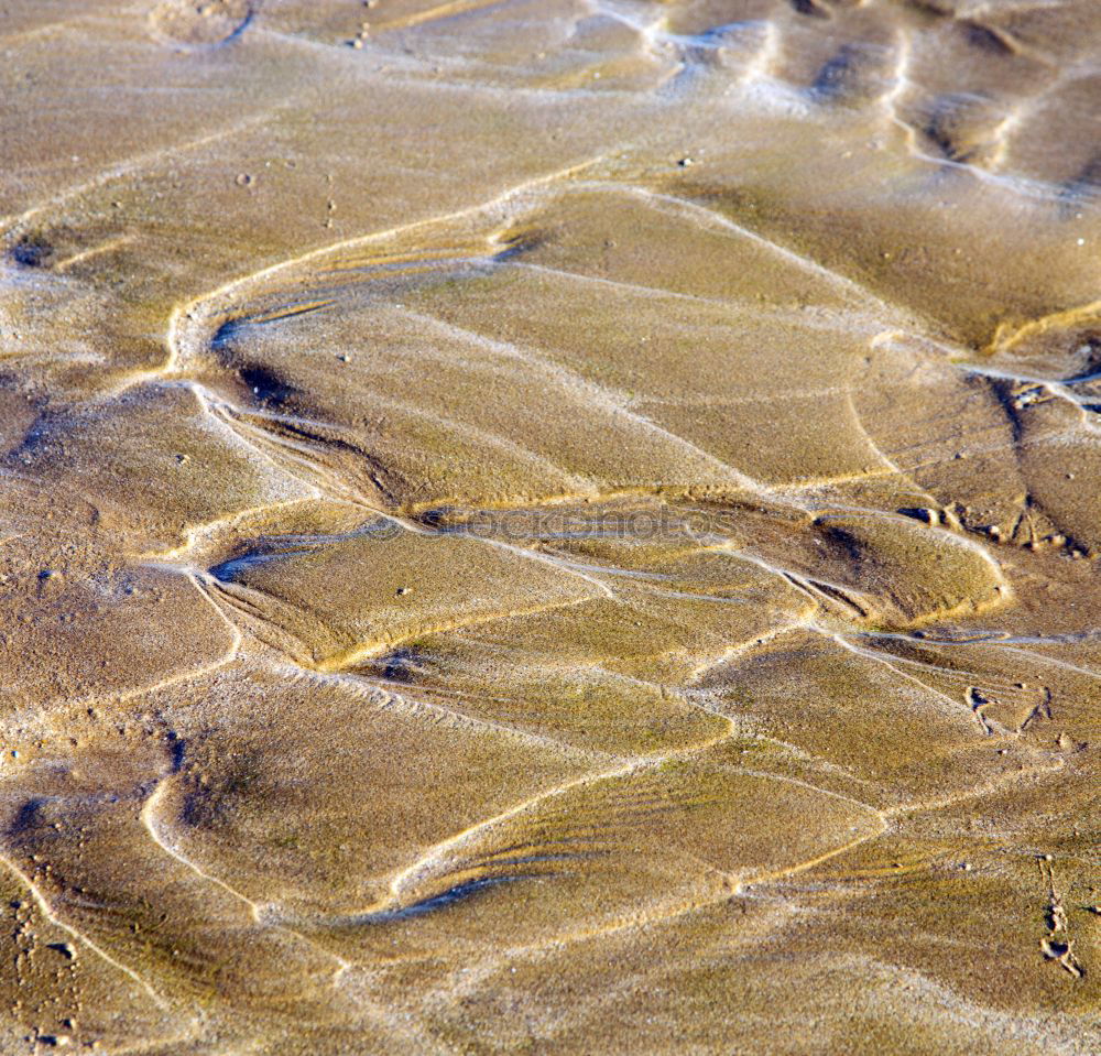 Similar – Tracks on the beach in Portugal