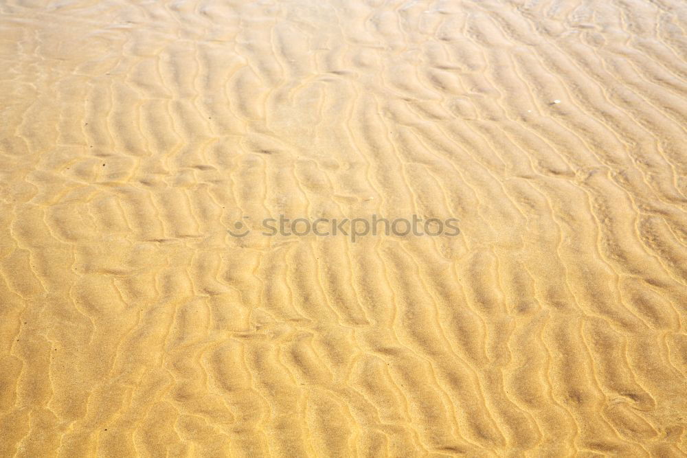 Similar – Sand texture on the beach