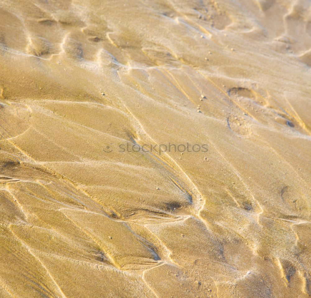 Similar – Foto Bild Einprägsam Strand Meer