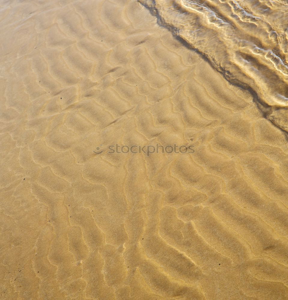 Similar – Dry feet Water Beach Sand