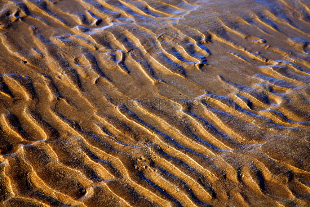 Similar – beach shapes Sand Beach