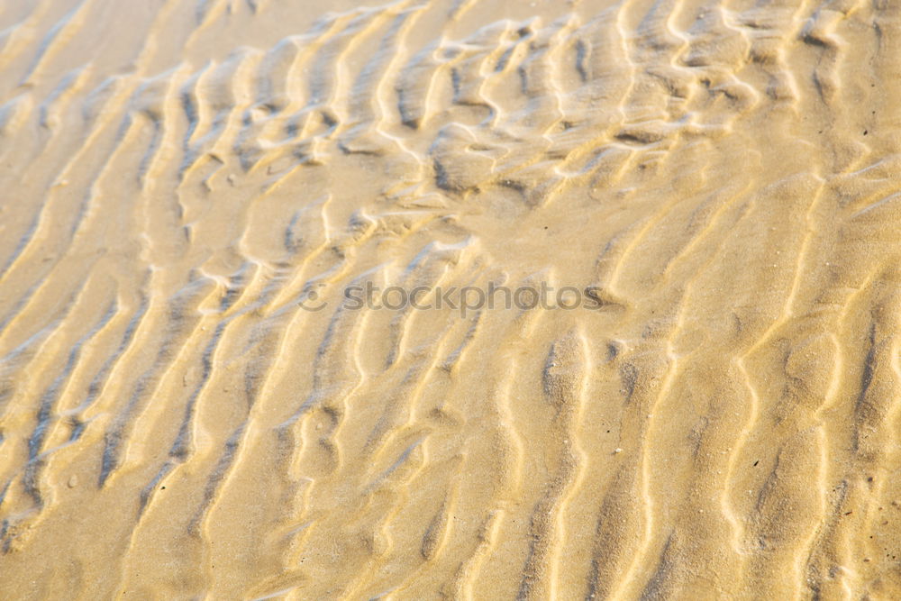 Similar – Straw hat on sand Sand Hat