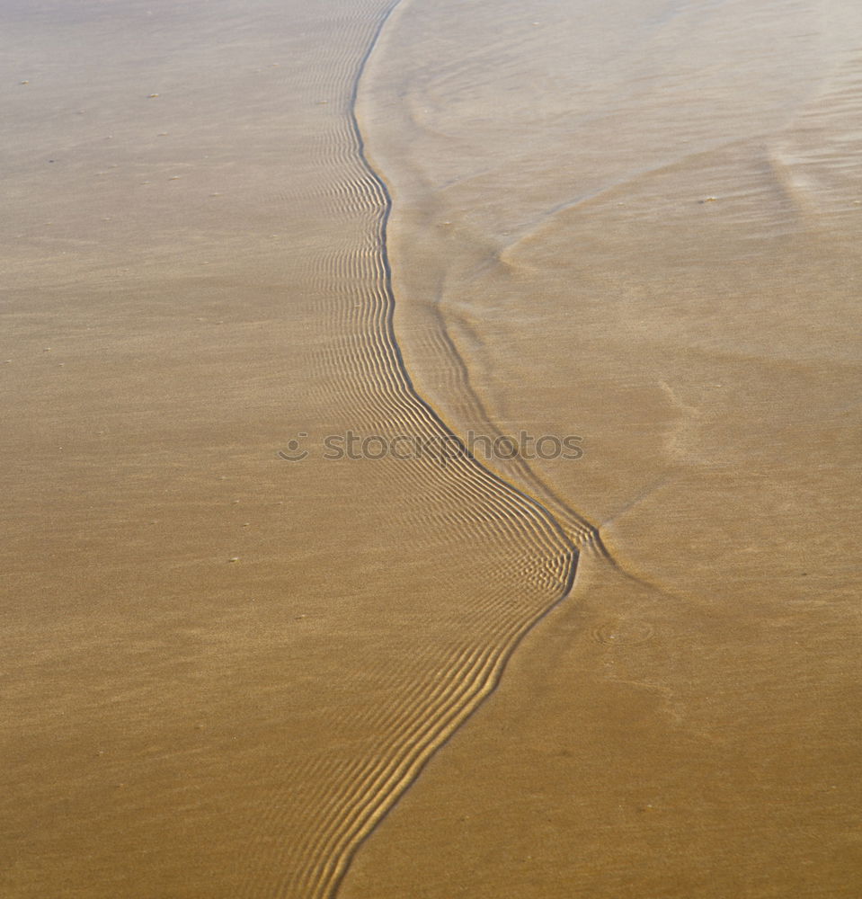 Similar – Tracks on the beach in Portugal