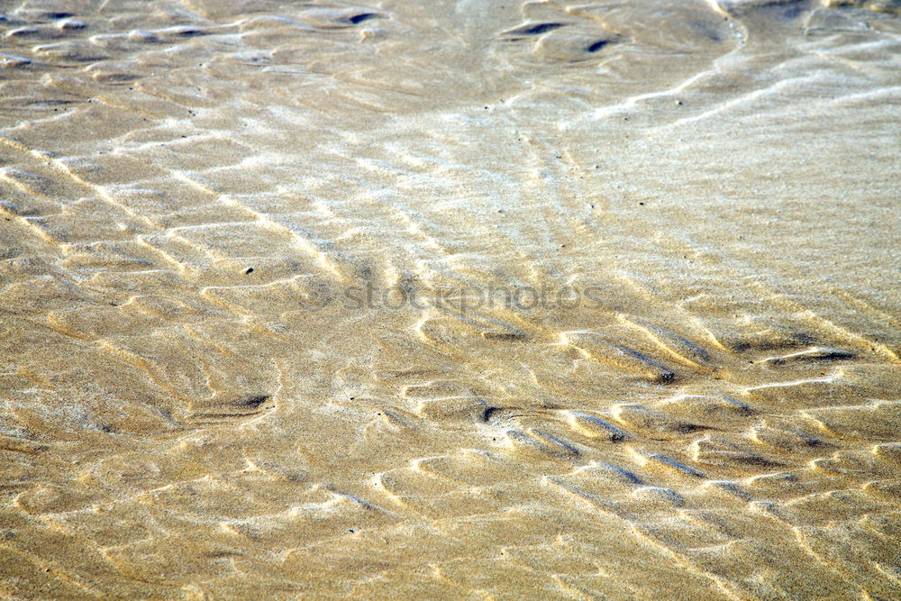 Similar – Sandlandschaften Strand