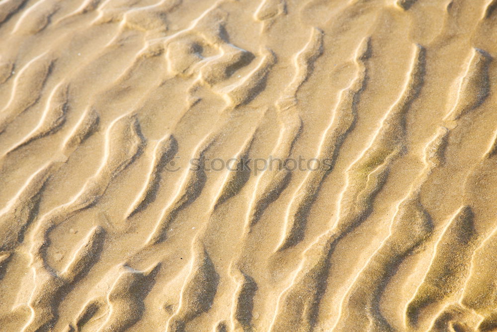 Similar – Tracks on the beach in Portugal