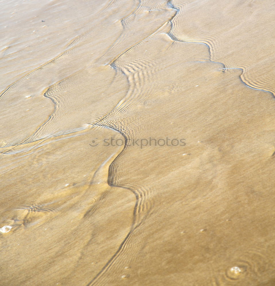 Similar – Tracks on the beach in Portugal