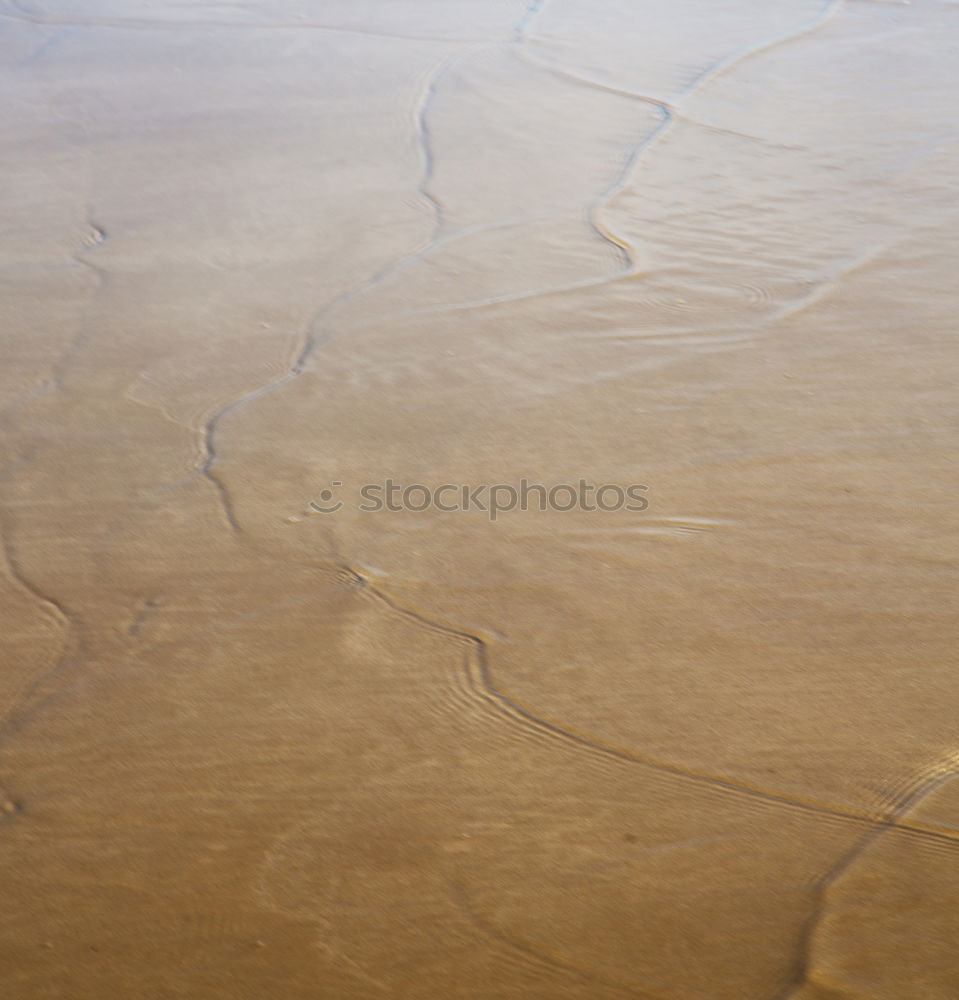 Image, Stock Photo biarritz