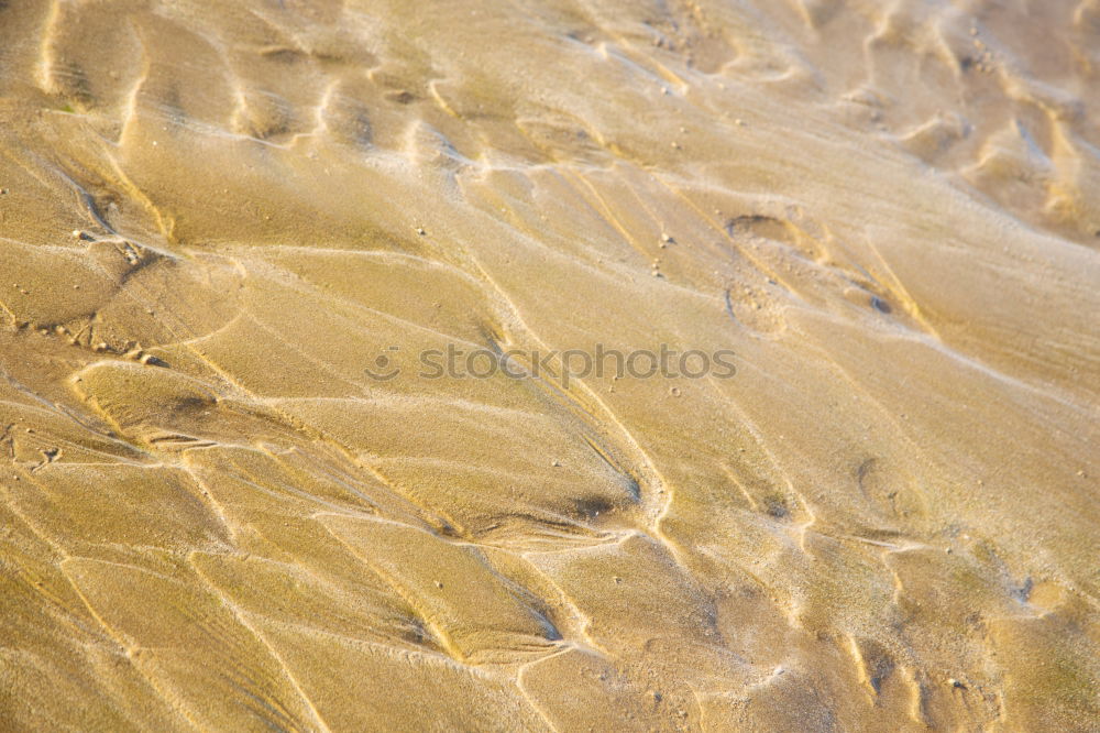 Similar – Tracks on the beach in Portugal