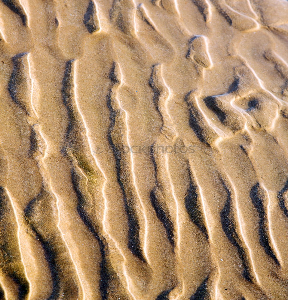 Similar – beach shapes Sand Beach