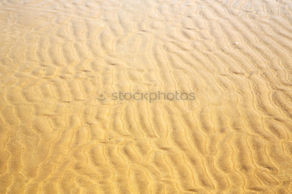 the brown sand dune in the sahara morocco desert