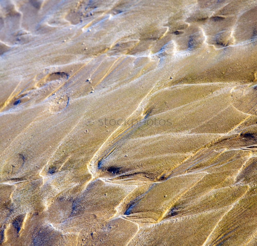 Similar – Image, Stock Photo Beautiful aerial view of a beach with waves