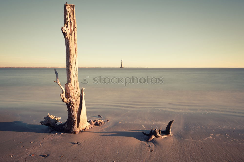 Similar – Foto Bild Weststrand Umwelt Natur