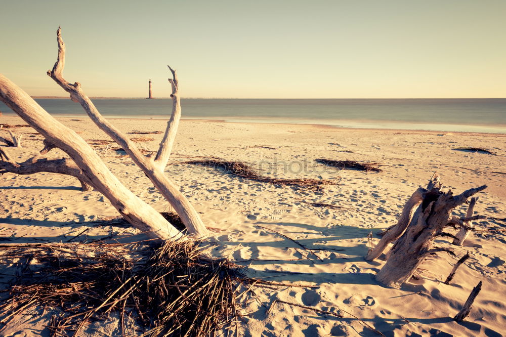 Similar – western beach Environment