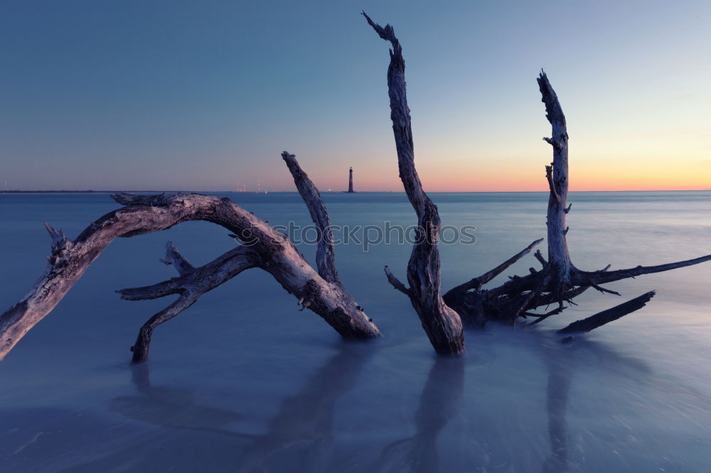 Similar – Image, Stock Photo Blue hour on the beach