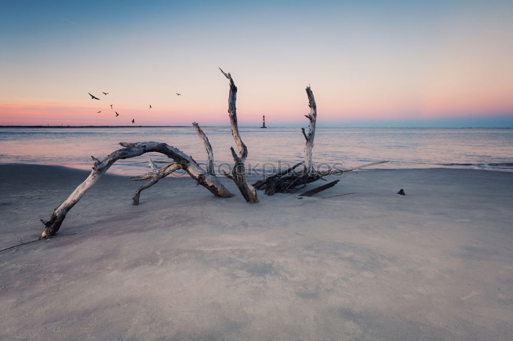 Similar – estuary Nature Earth Sand