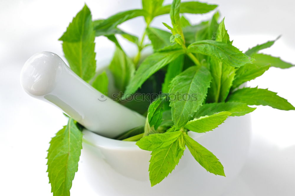 Similar – Image, Stock Photo Herbal tea from fresh nettle