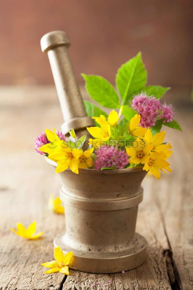 Similar – Allotment garden with primroses flowers, shovel and shield