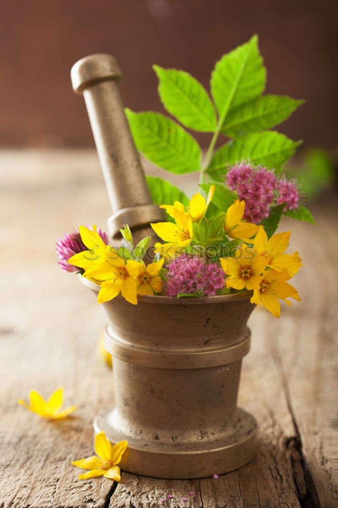 Allotment garden with primroses flowers, shovel and shield