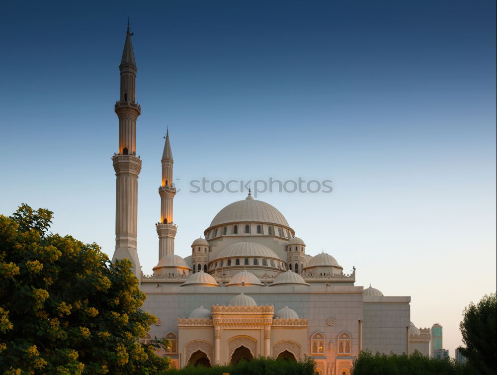 Similar – Foto Bild Blaue Moschee im Grünen