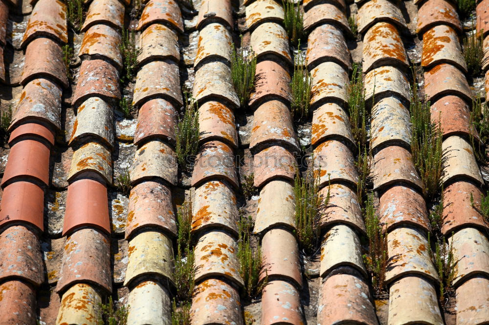 Similar – Roofs, roofs, gables, old town of Quedlinburg