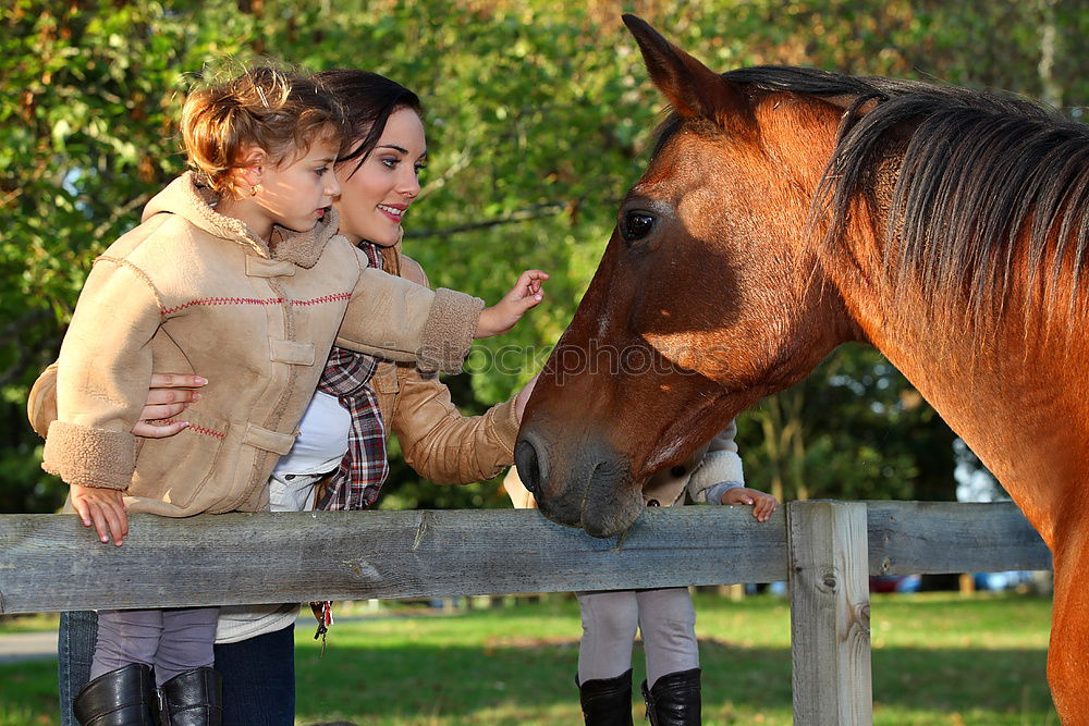 Similar – Image, Stock Photo Beloved quadruped