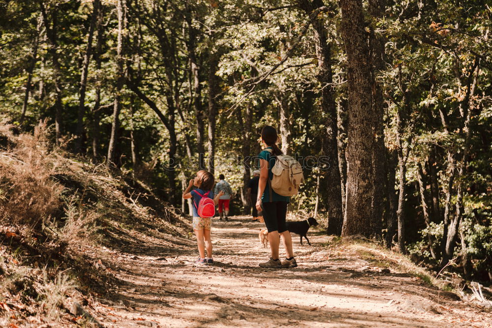 Similar – Couple of hikers doing trekking