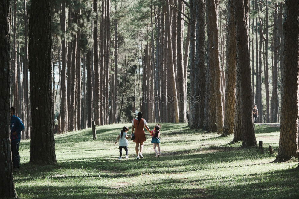 Similar – Image, Stock Photo Mother with her little daughter walking through the forest