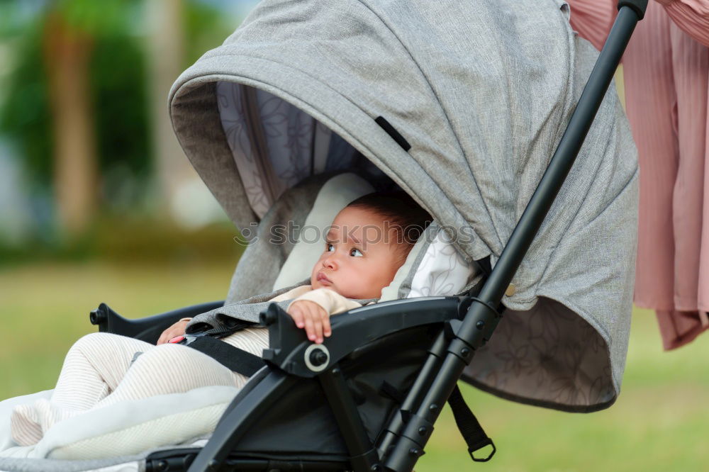 Similar – Little toddler in sitting stroller.