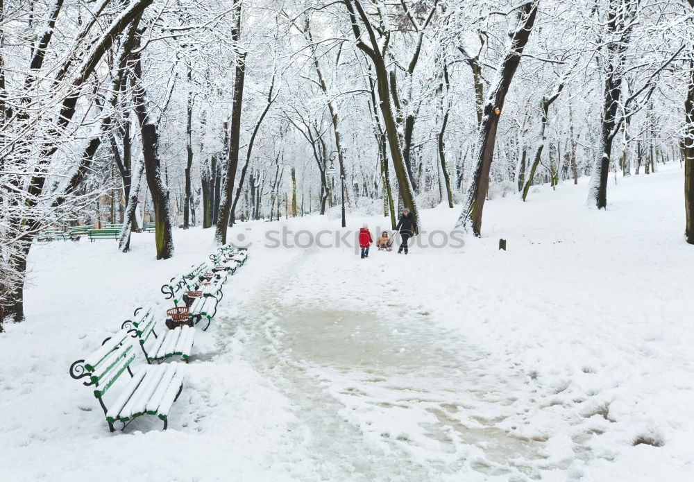 Similar – Foto Bild freizeitbetätigung Winter