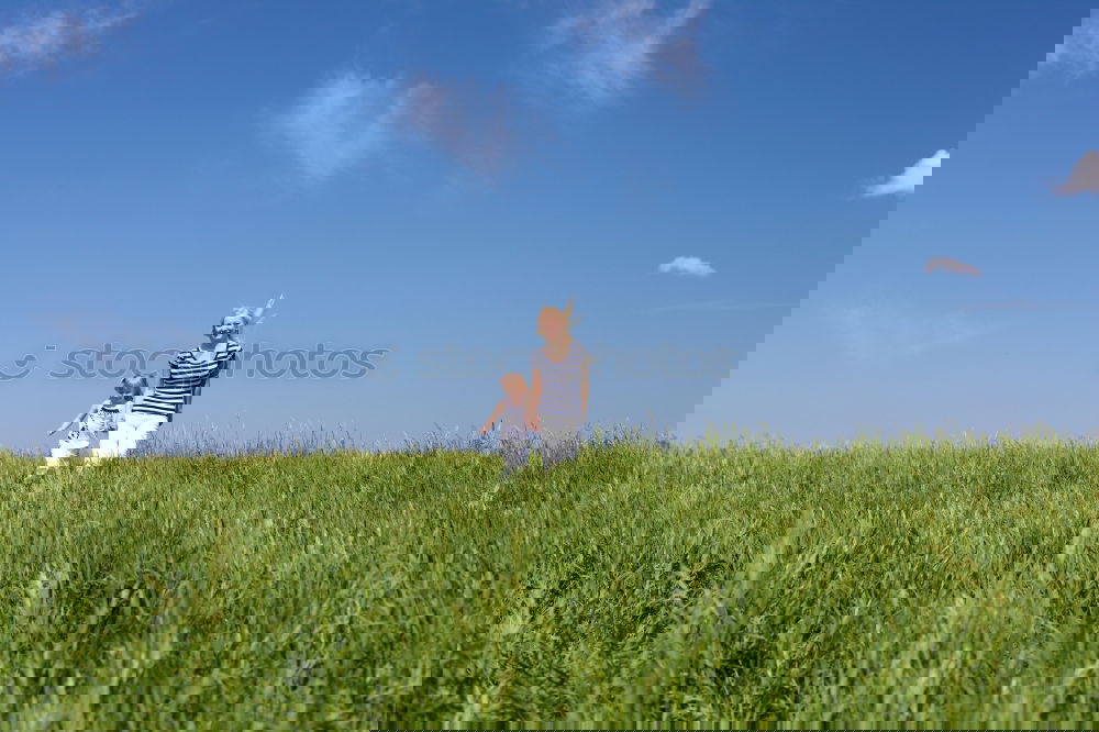 Foto Bild meine Welt Feld Sommer