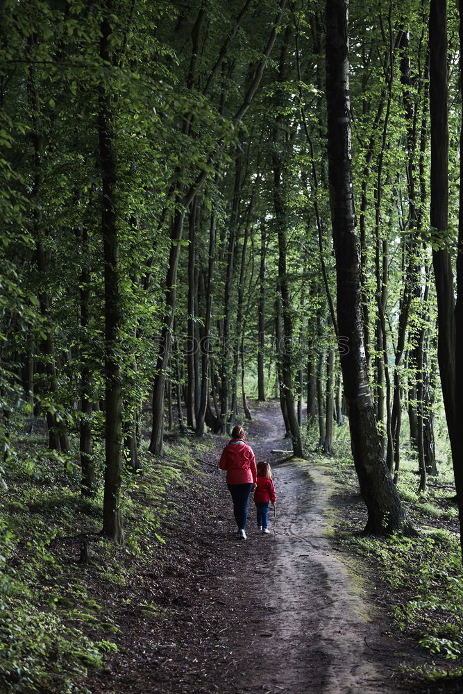 Similar – Image, Stock Photo Mother with her little daughter walking through the forest